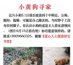 ҹ뿴