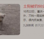 ﱻ50һؼ