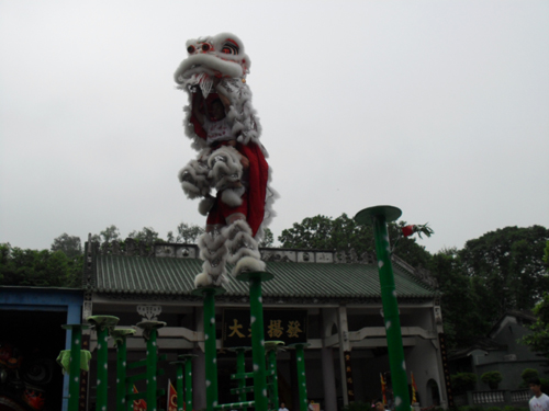 SAM_0439.JPG