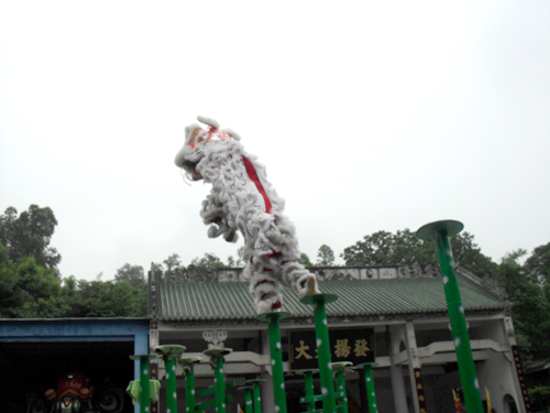 SAM_0446.JPG