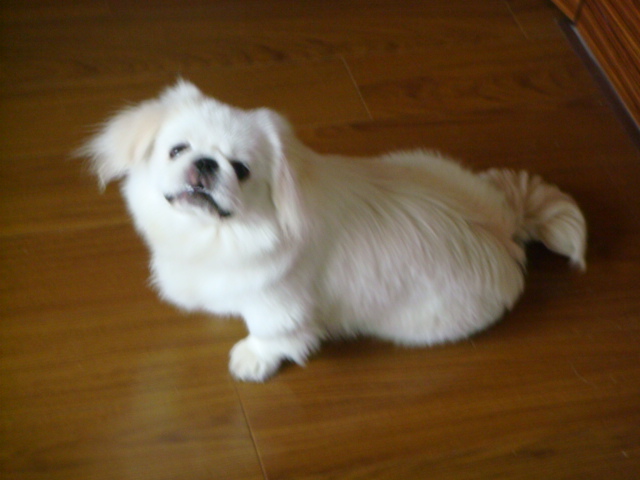 DSC01665.JPG