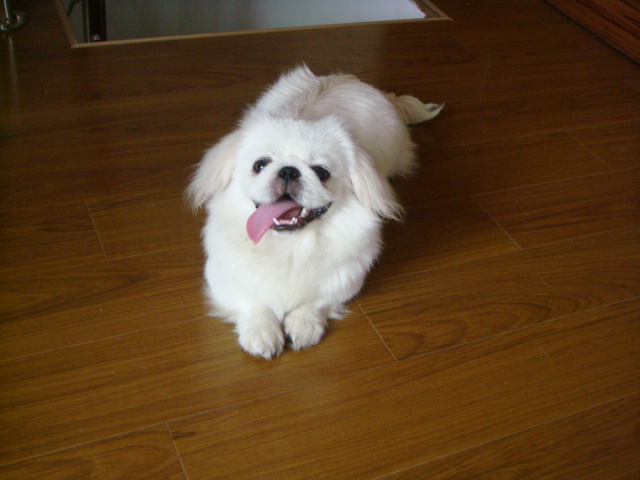 DSC01667.JPG
