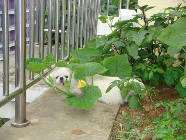 DSC01702.JPG