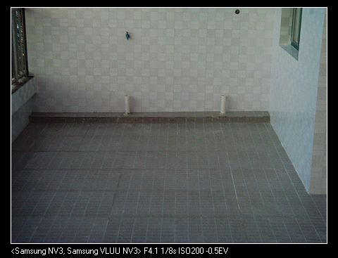 SNV37539.jpg