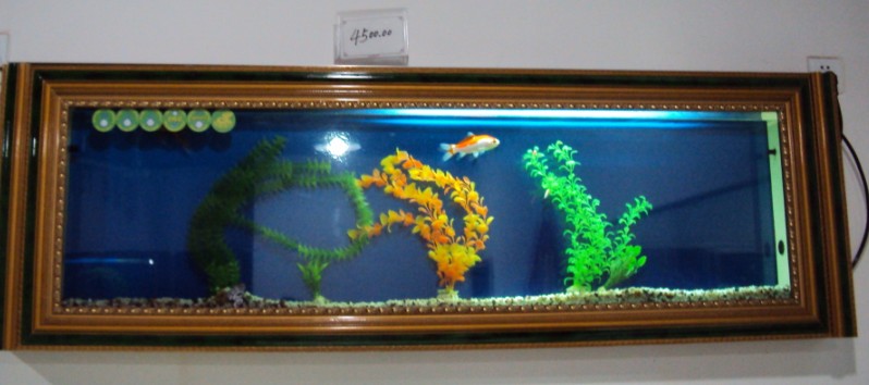 jietu333.jpg