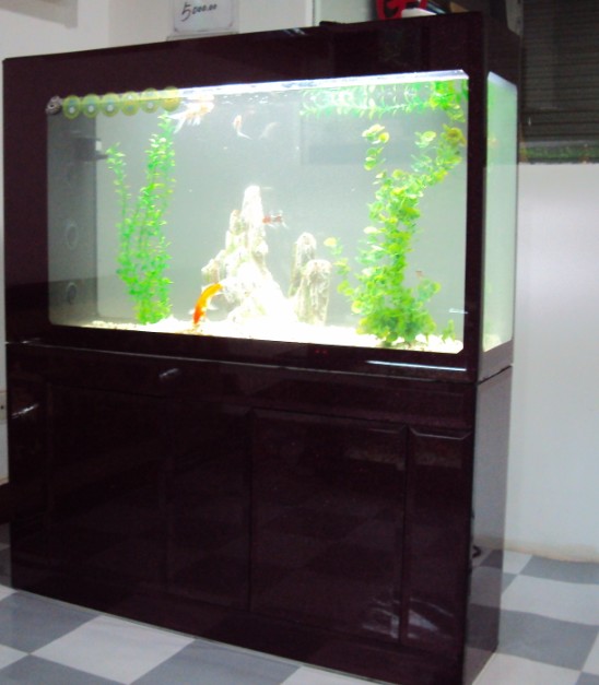 jietu555.jpg