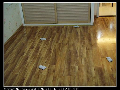 SNV38492.jpg