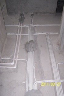 p3.JPG