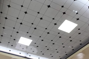 p8.jpg