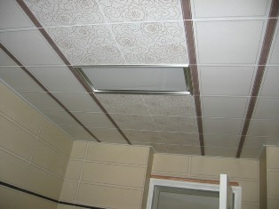 p6.jpg