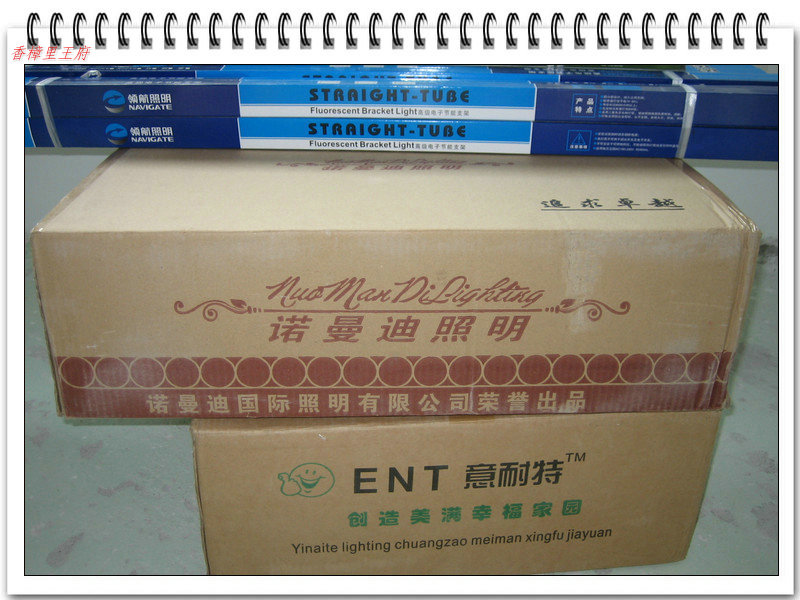 T5ƴԵơԵ.jpg