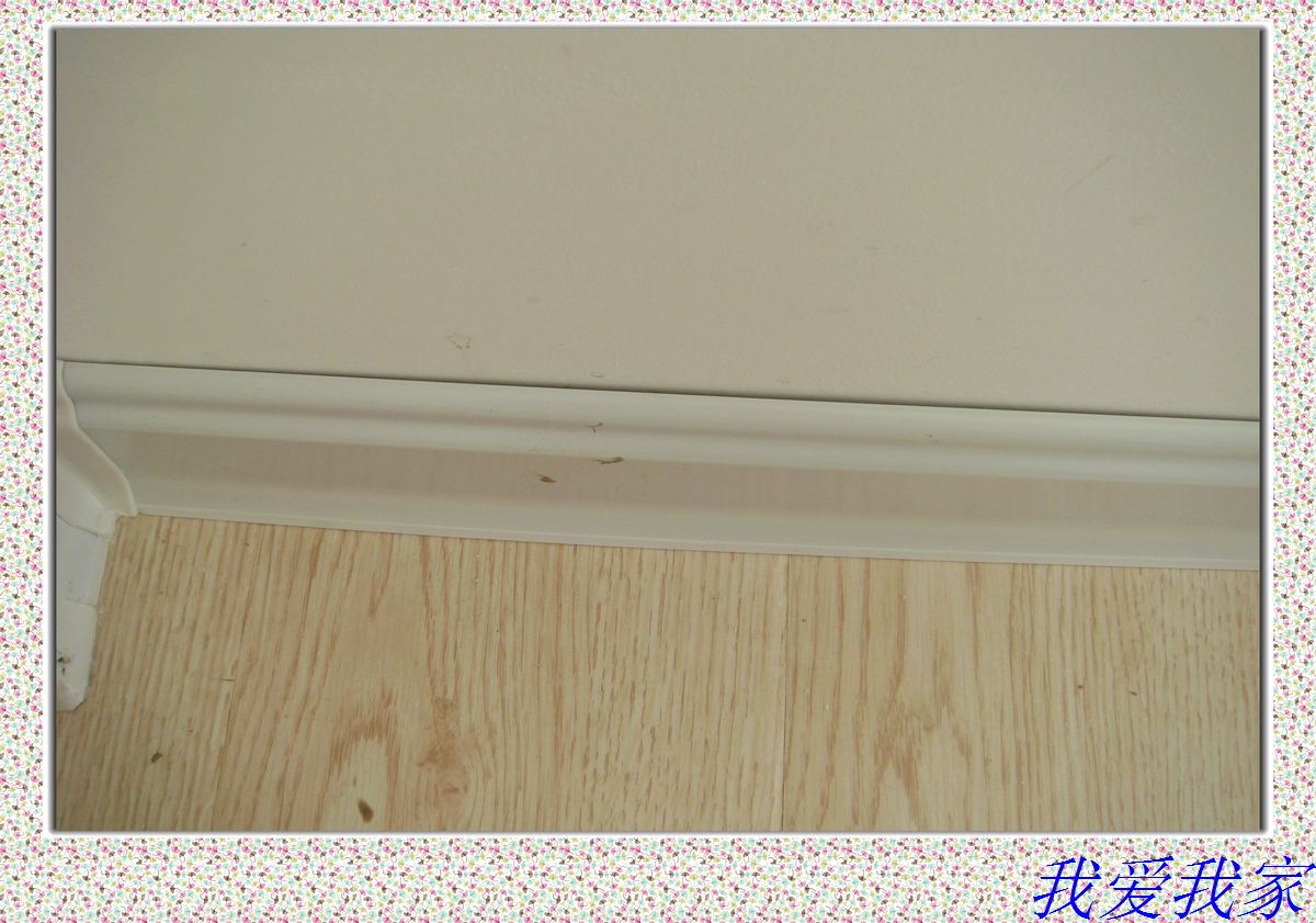 nEO_IMG_DSC02845.jpg