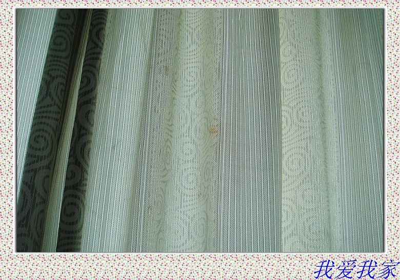 nEO_IMG_DSC03018.jpg