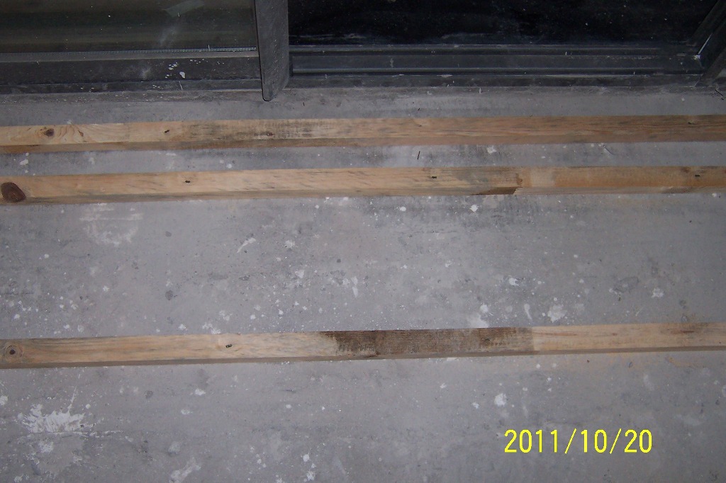 p31.JPG