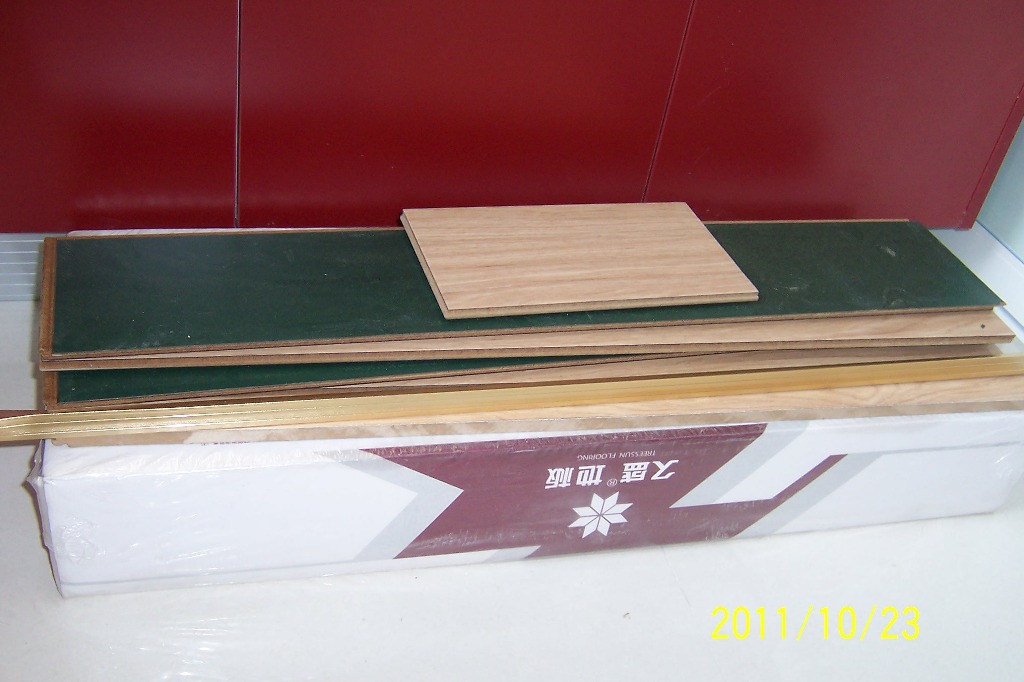 p1.JPG