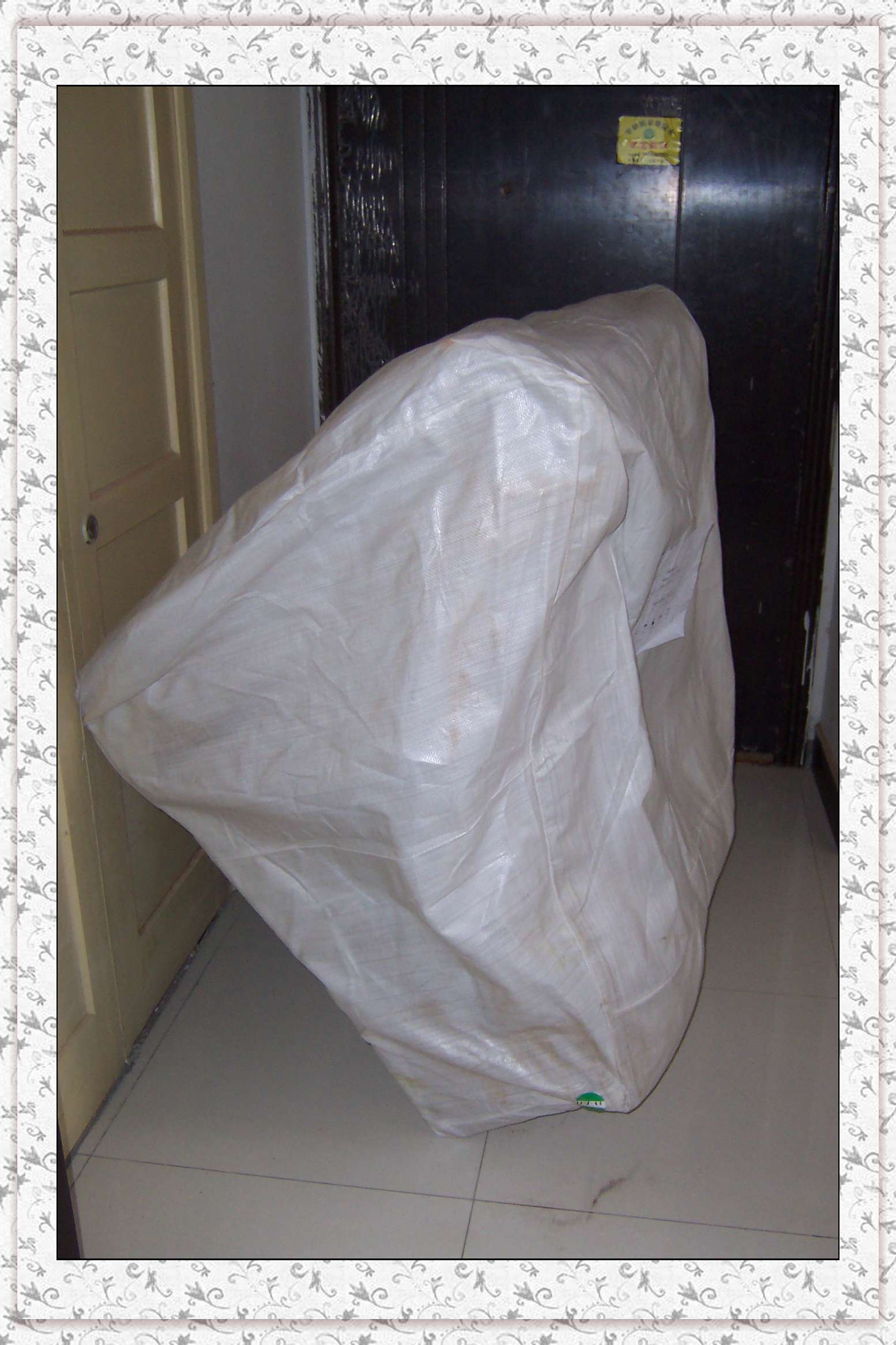 P2.jpg