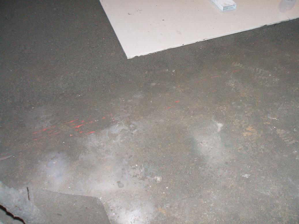 DSCF2432.JPG