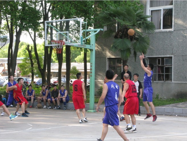 25.jpg