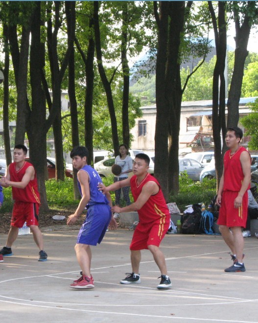 31.jpg