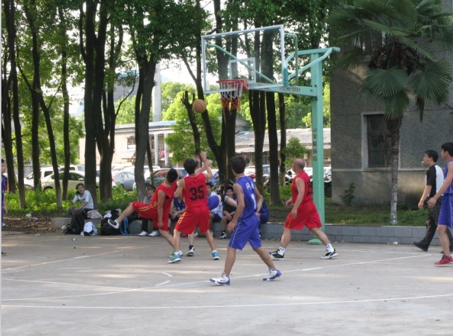 37.jpg