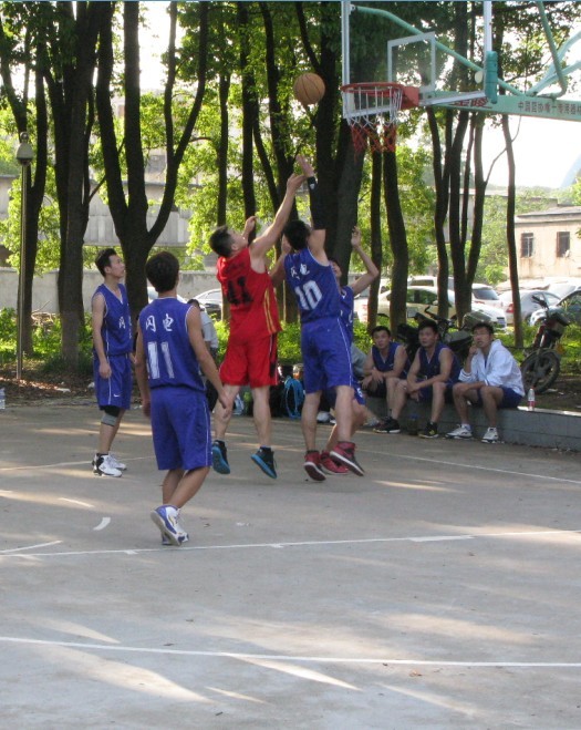 48.jpg