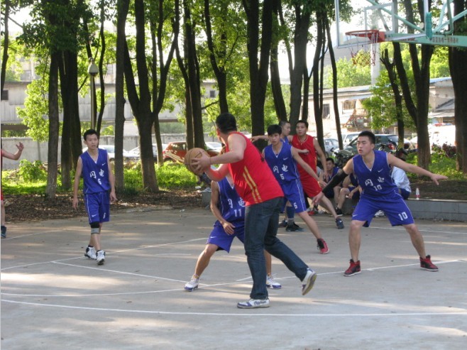 53.jpg