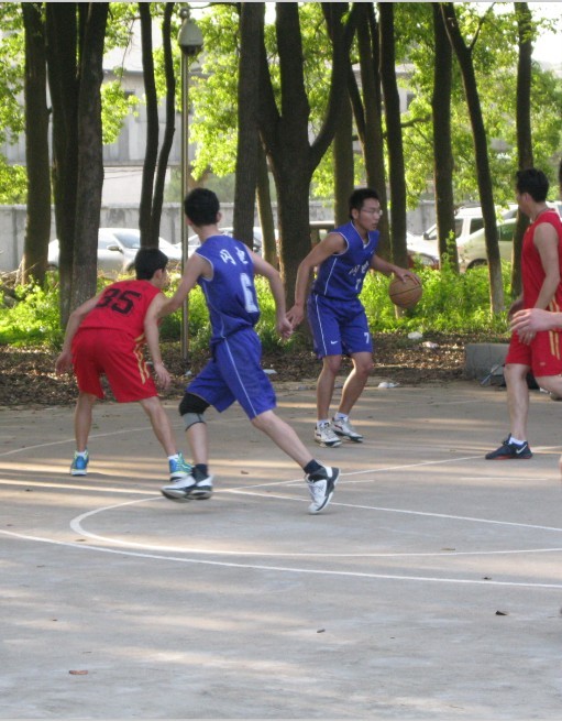 85.jpg