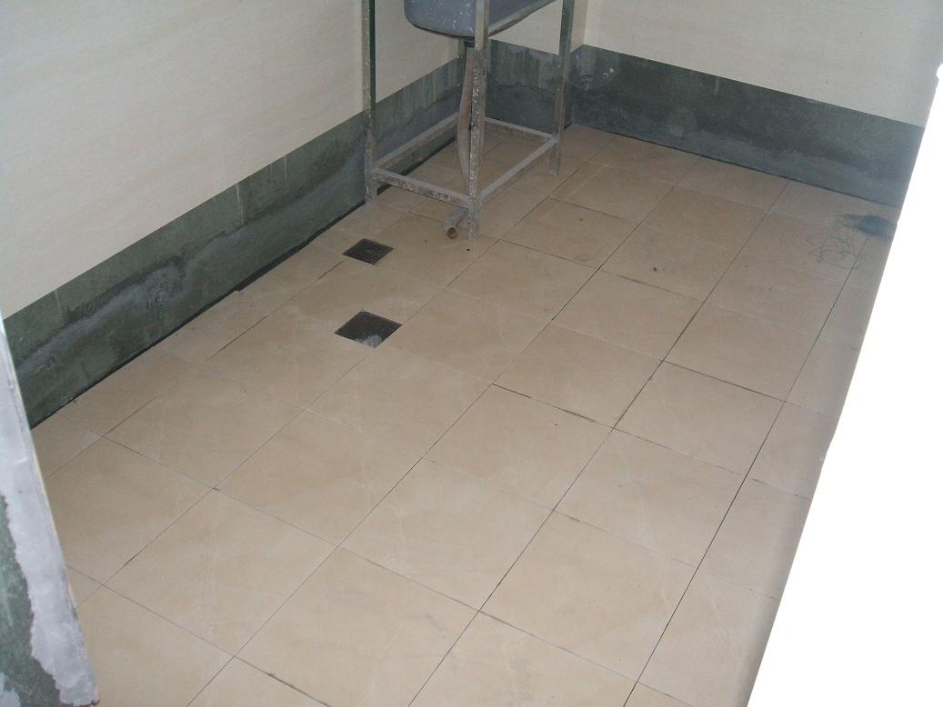 DSCF2509.JPG