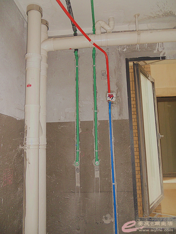DSCN6319.JPG
