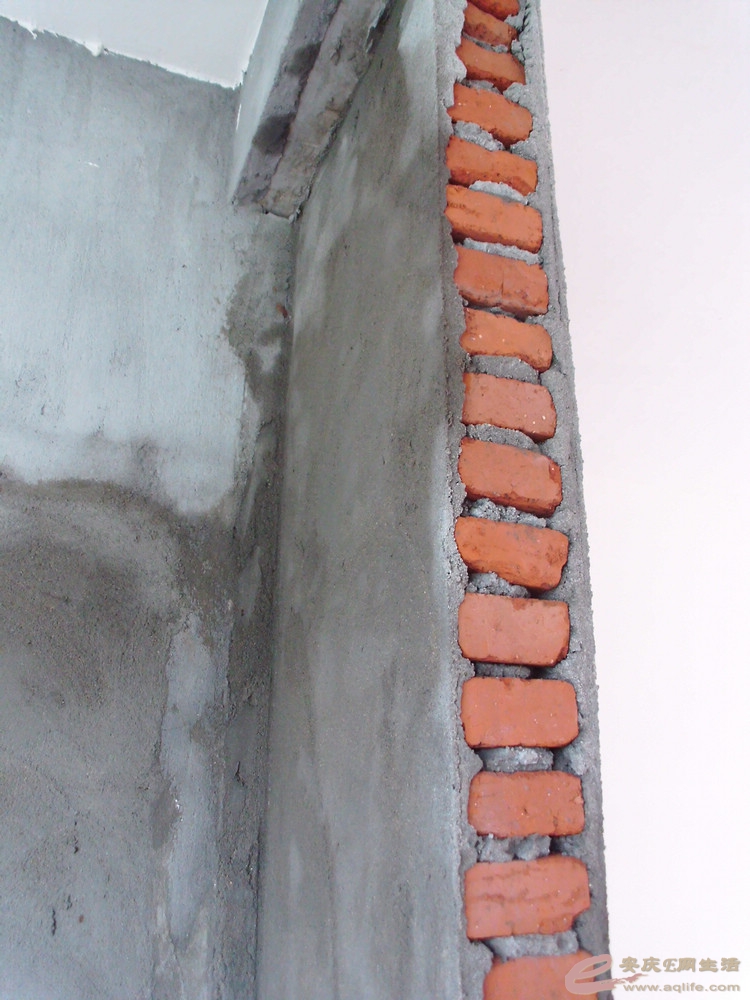 DSCI0299.JPG