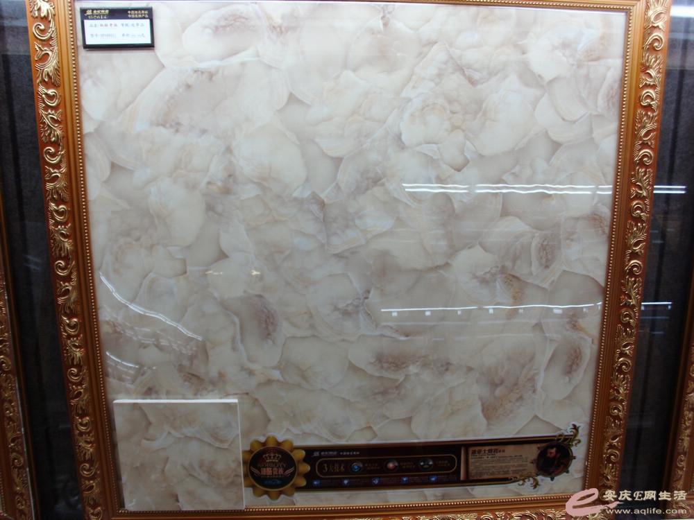 DSCI0323.JPG