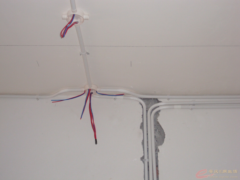 DSCI0384.JPG