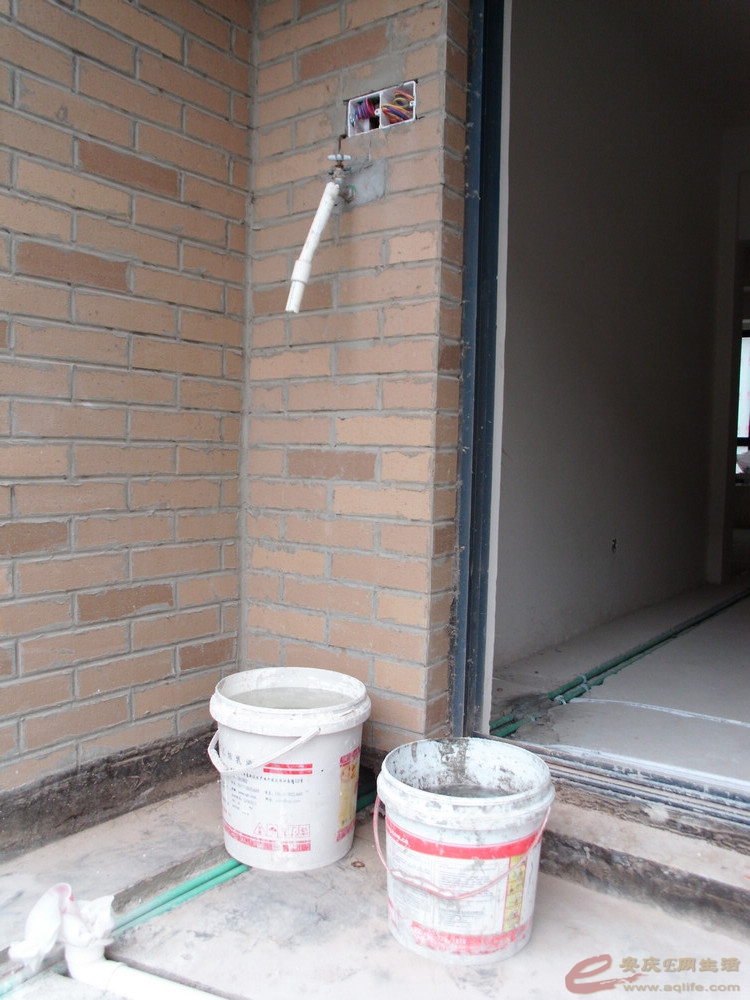 DSCI0437.JPG
