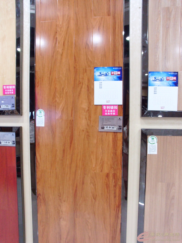DSCI0441.JPG