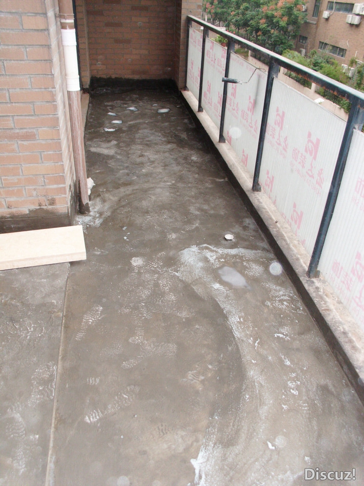 DSCI0567.JPG