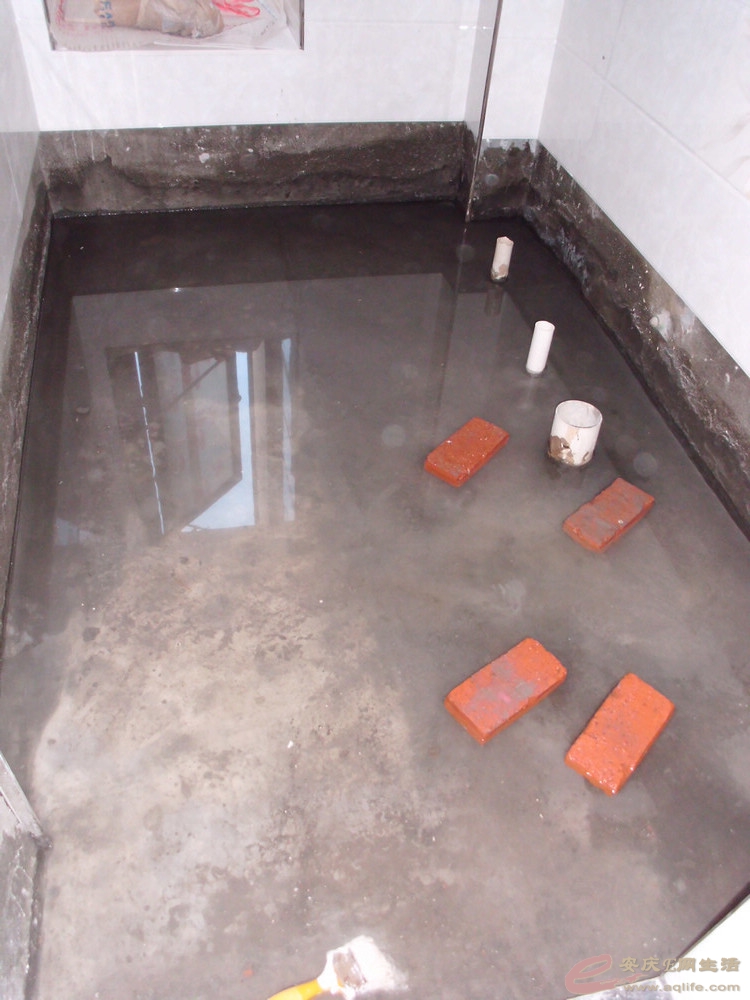 DSCI0678.JPG