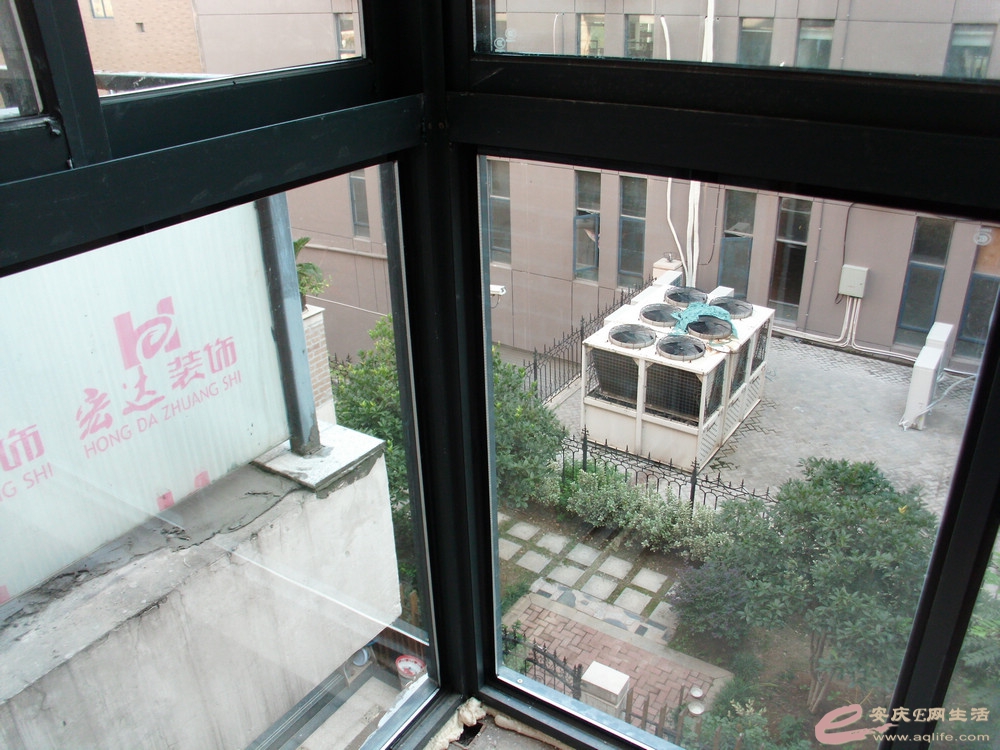 DSCI0687.JPG
