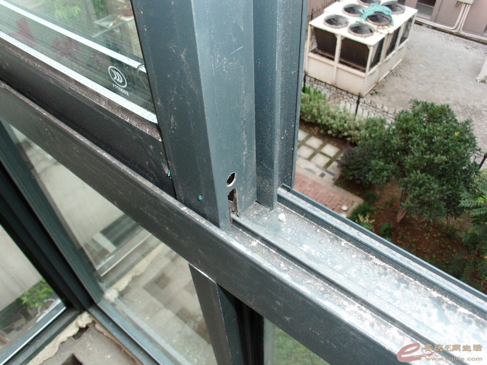 DSCI0688.JPG