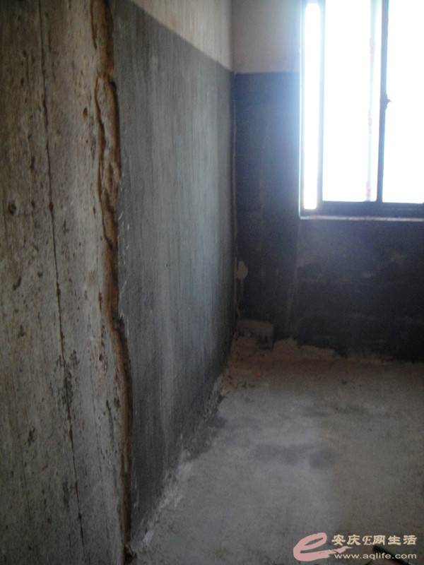 DSC03442_.jpg