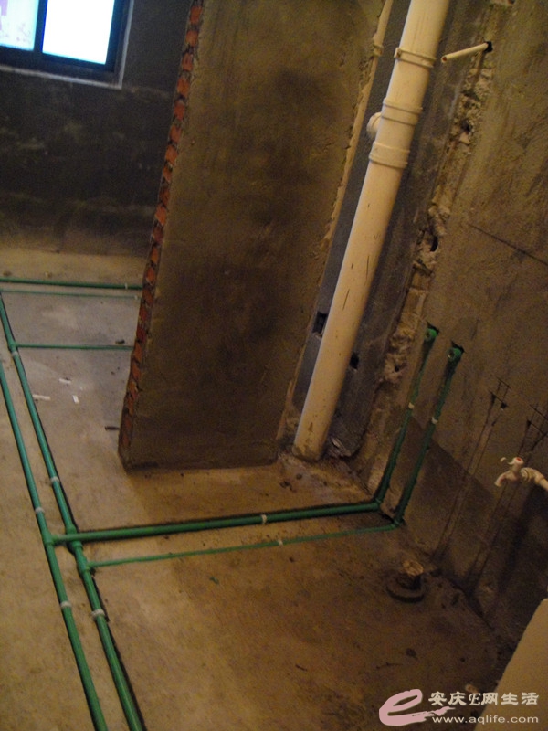 DSC03471_.jpg