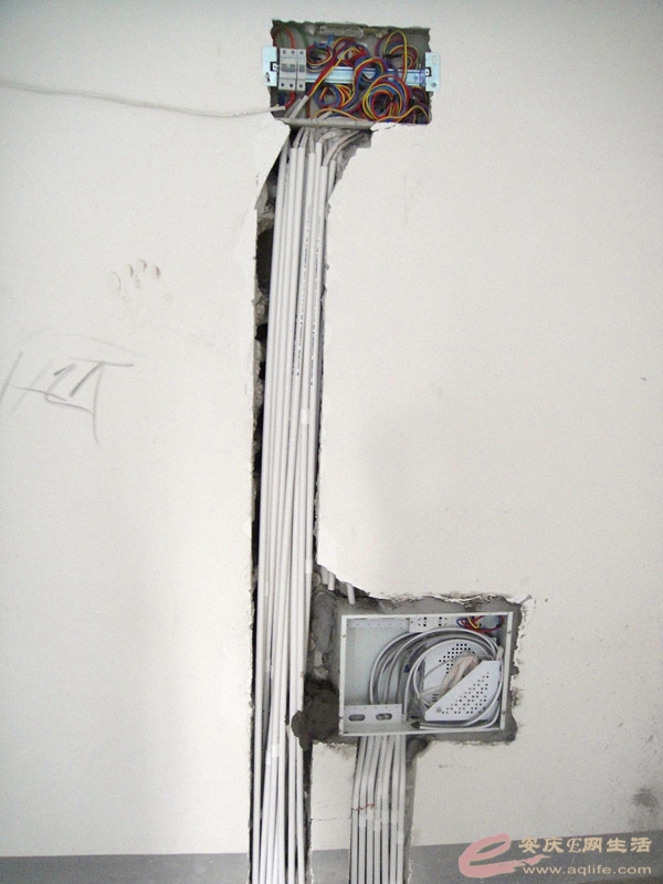 DSC03481_.jpg