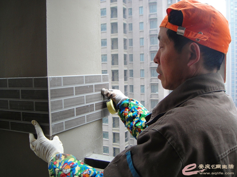 DSC03594_.jpg