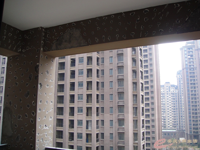 DSC03614_.jpg