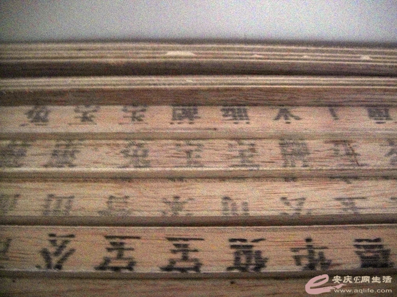 DSC03676_.jpg