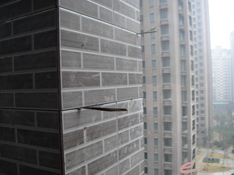 DSC03668_.jpg