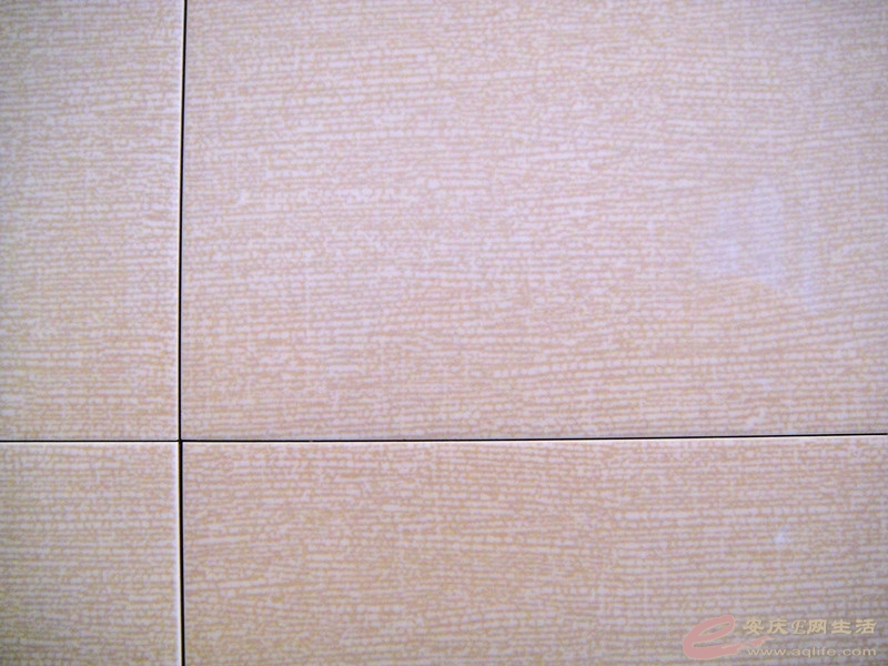 DSC03738_.jpg