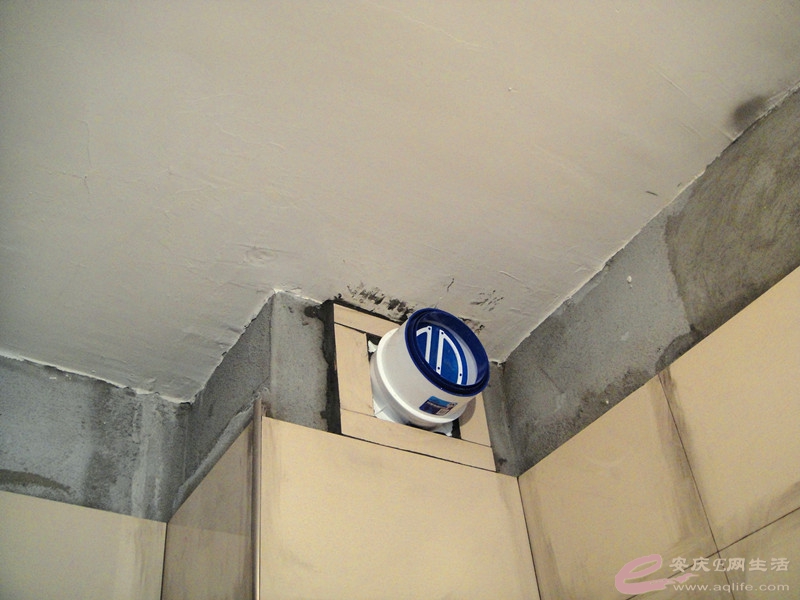 DSC03745_.jpg