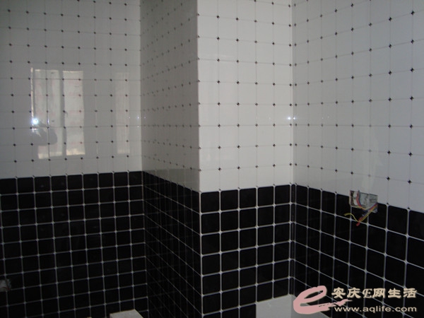 DSC04391_.jpg