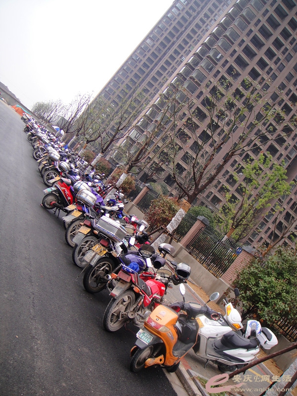 DSC03803_.jpg