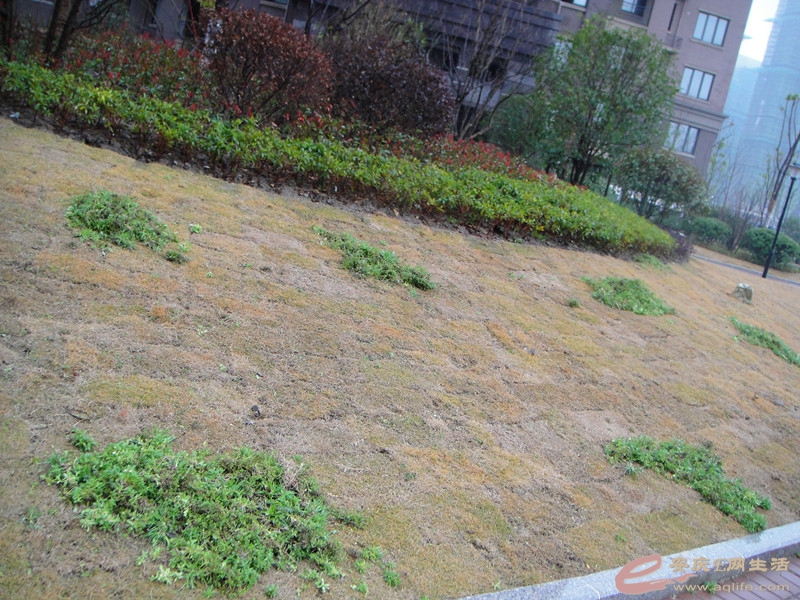 DSC03782_.jpg